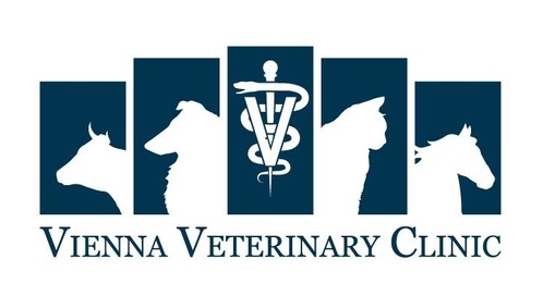Ribbon Cutting for Vienna Veterinary Clinic