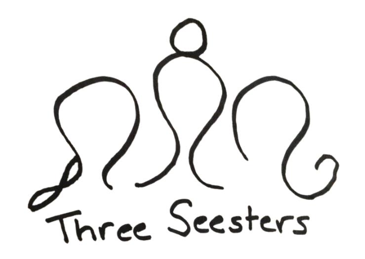 Lunch & Learn with Three Seesters Wellness